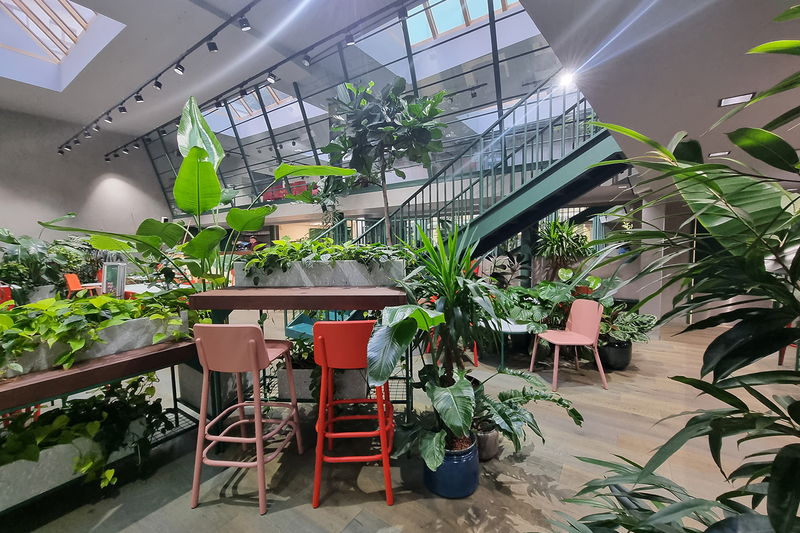 Healthy Longevity Café