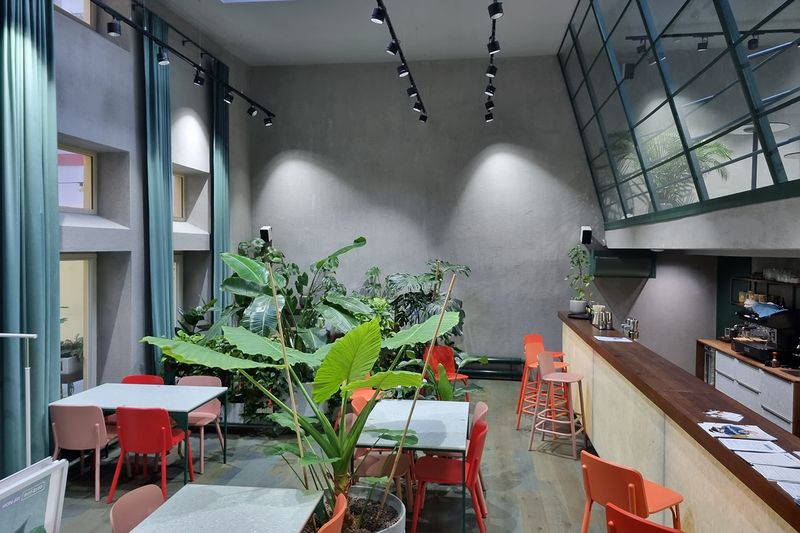 Healthy Longevity Café