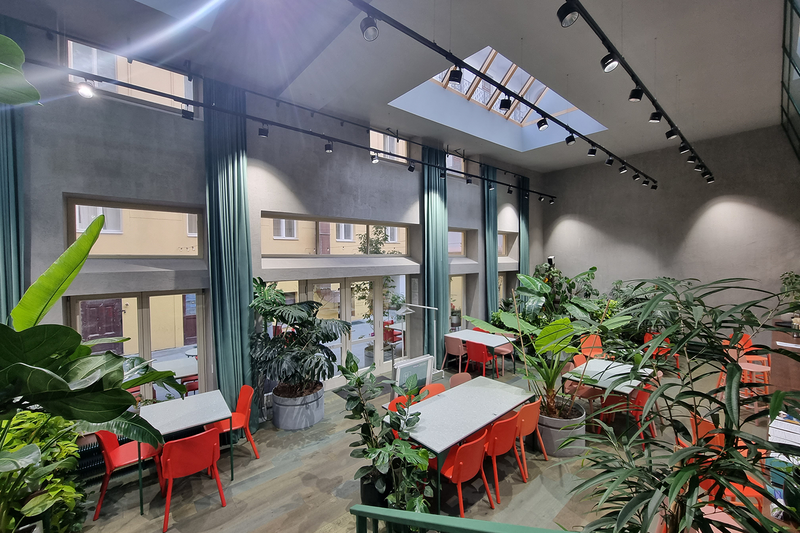 Healthy Longevity Café